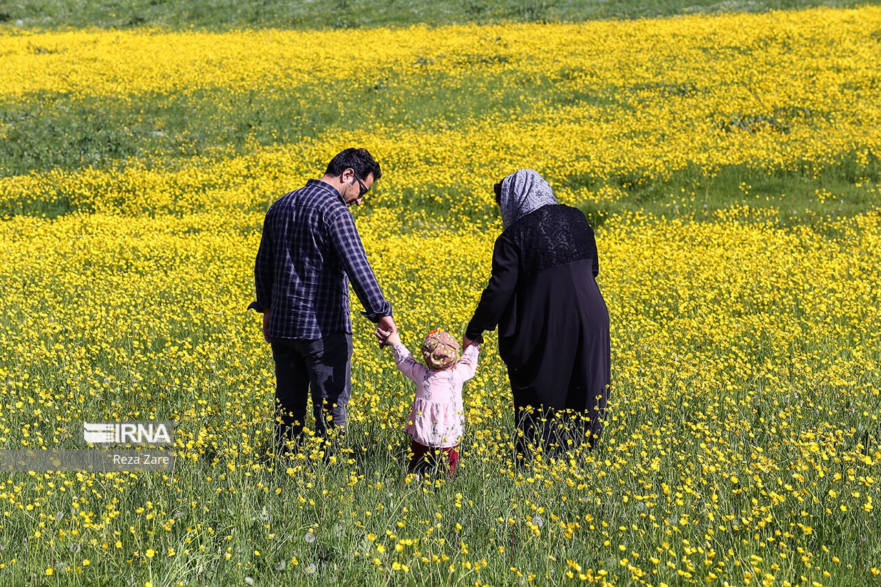 سفر نوروزی به «اردبیل» سر حلقه سلسله صفویه