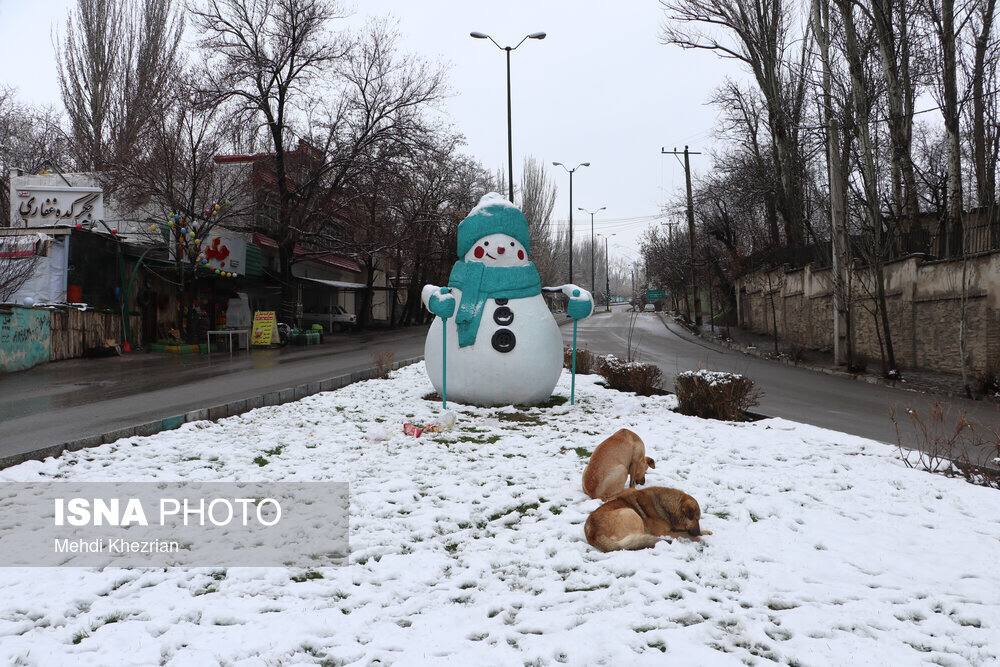 بارش برف نوروزی در گنج‌نامه همدان