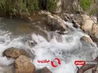 تنگ تامرادی در یاسوج
