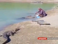 تیمارِ پدرانه تمساح توسط مردِ بلوچ پربازدید شد