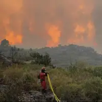 آتش سوزی جنگلی در شرق اسپانیا؛ صدها نفر از منازل خود تخلیه شدند