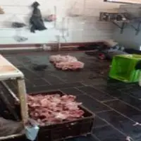 پلمب واحد غیرمجاز فرآوری اسکلت مرغ در نجف‌آباد