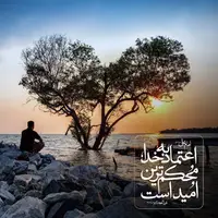 حکمت/ اعتماد به خدا