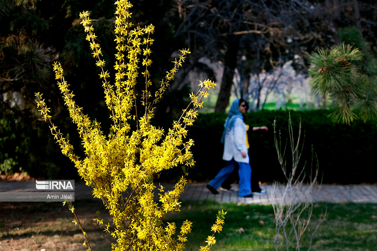 عکس/ حال و هوای بهاری باغ گیاه‌ شناسی ملی ایران