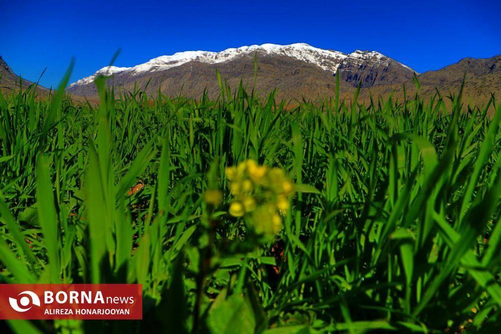 دشت «شیمبار» خوزستان