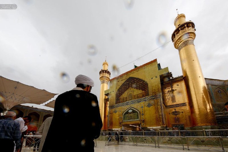 عکس/ بارش باران بهاری در حرم حضرت علی(ع)