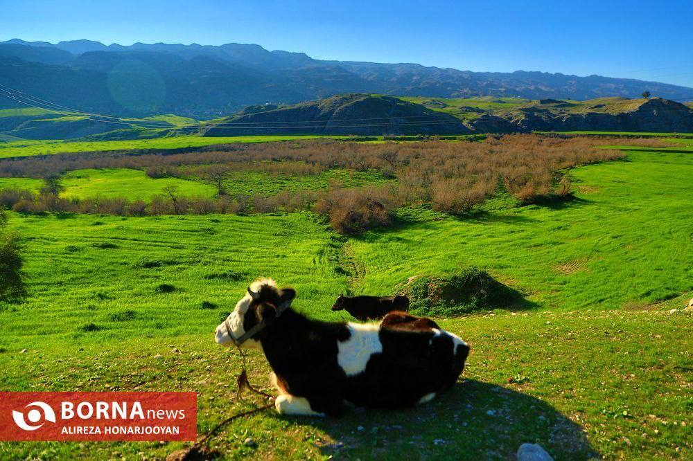 دشت «شیمبار» خوزستان