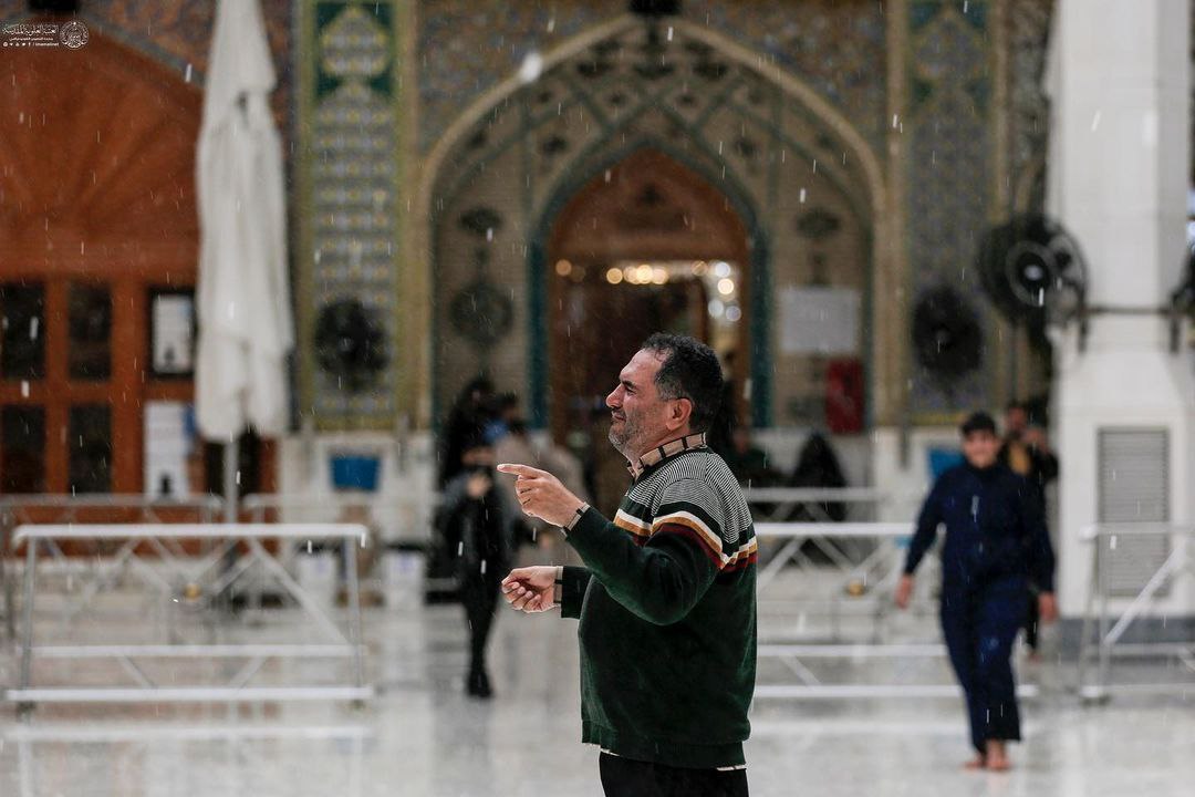 عکس/ بارش باران بهاری در حرم حضرت علی(ع)