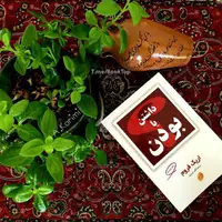 بخشی از کتاب/ فقط بی‌ثباتی است که ثبات دارد 
