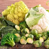 تا حالا کلم اینجوری خوردی؟