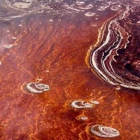 گوناگون/ دریاچه‌ای عجیب که هر موجودی را سنگ می‌کند