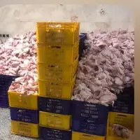 کشف 1.5 تُن گوشت غیرقابل مصرف در قزوین