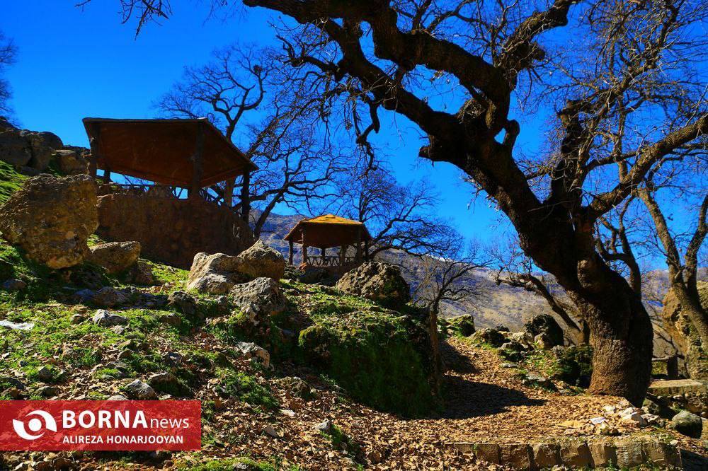 دشت «شیمبار» خوزستان