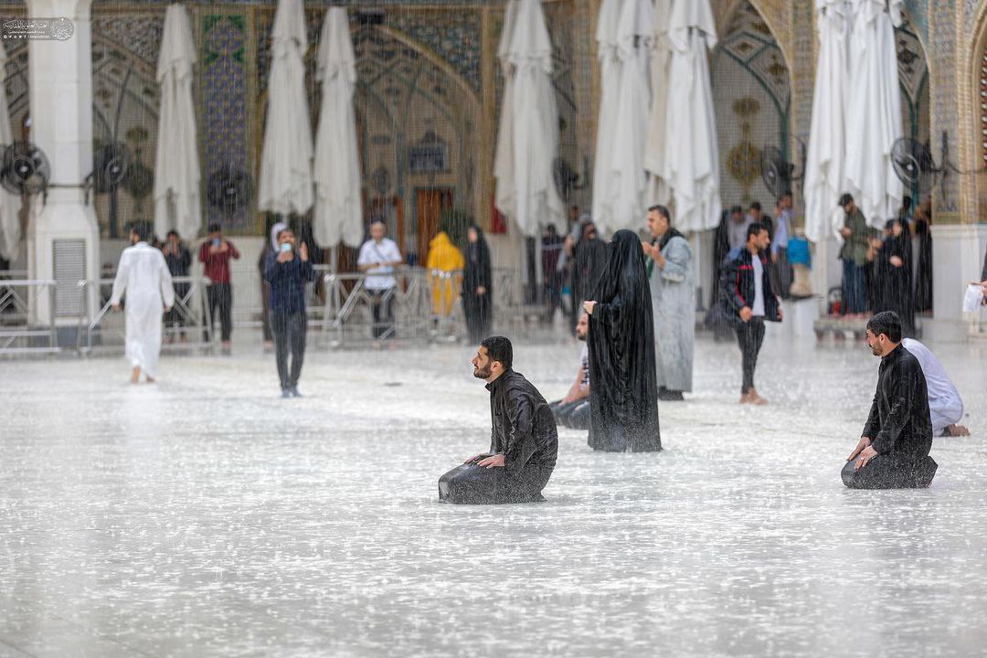 عکس/ بارش باران بهاری در حرم حضرت علی(ع)