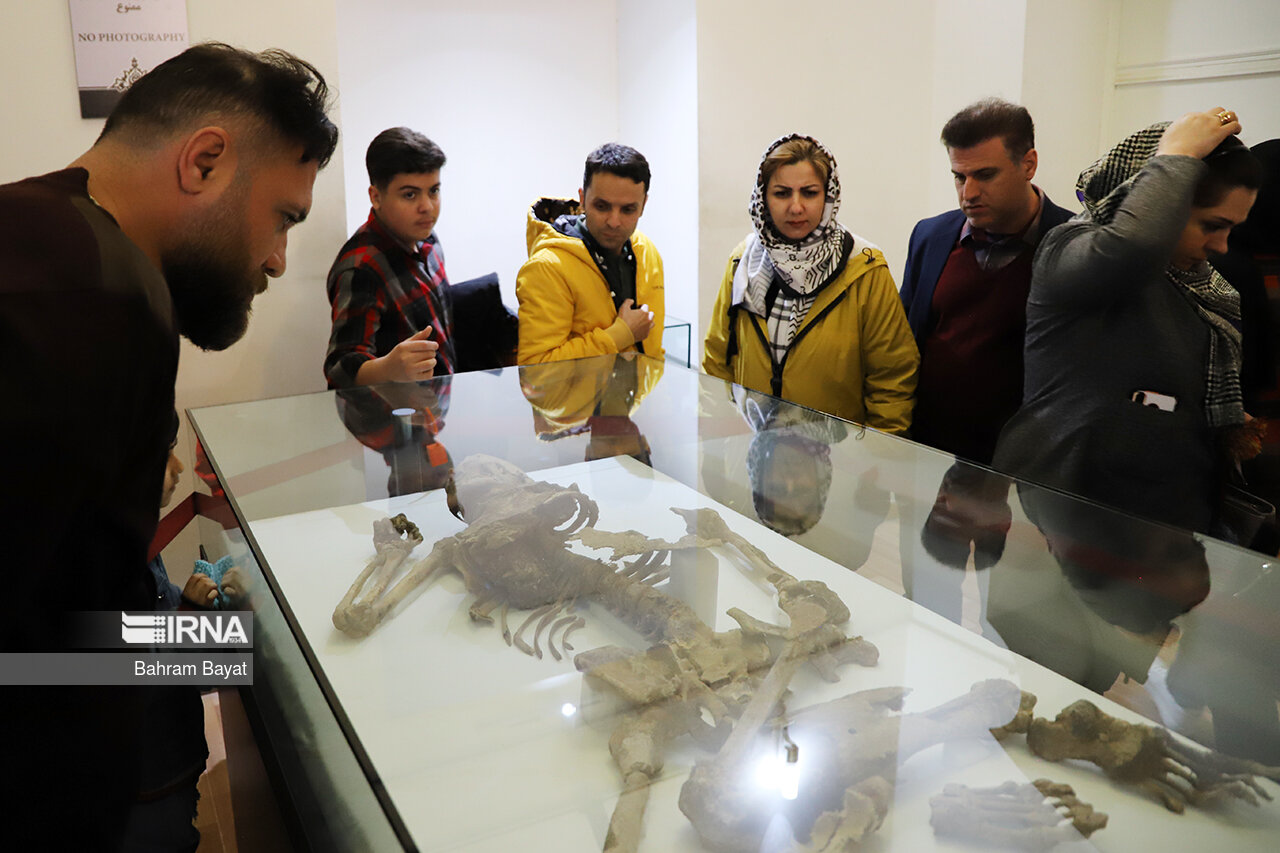 عکس/ گردشگران نوروزی در موزه باستان شناسی زنجان