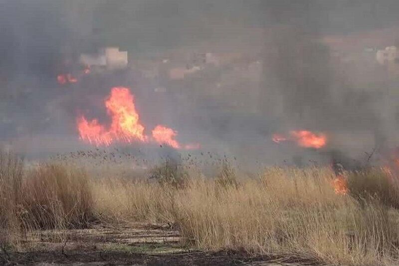 باران آتش نیزارهای تالاب یوسفکند مهاباد را خاموش کرد