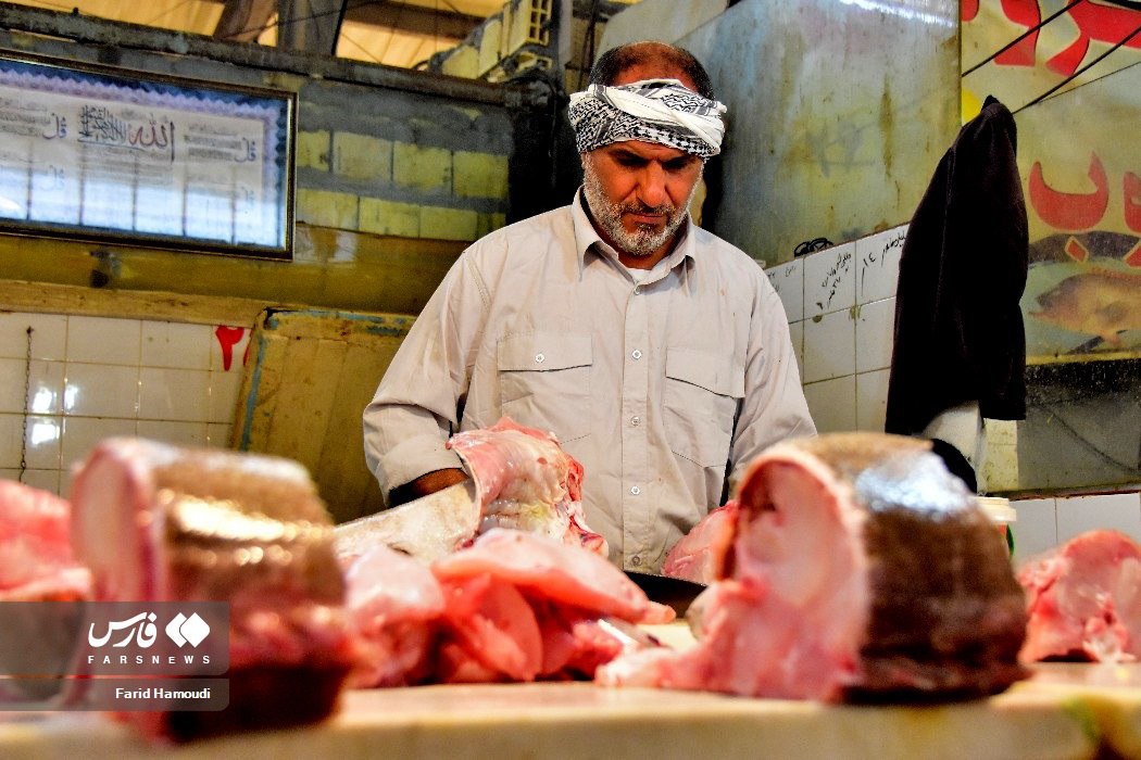 عکس/ بازار ماهی‌فروشان آبادان