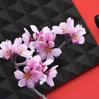پخش برنامه نوروزی برای موسیقی نواحی