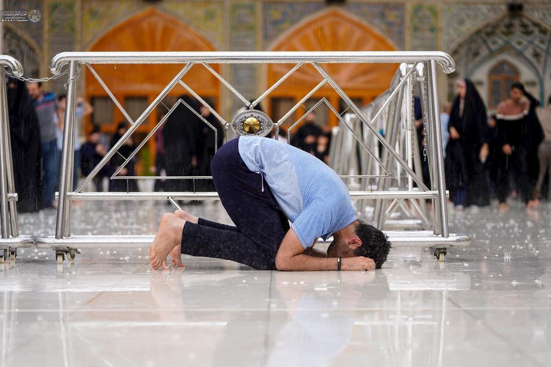 عکس/ باران بهاری در حرم امام علی (ع)