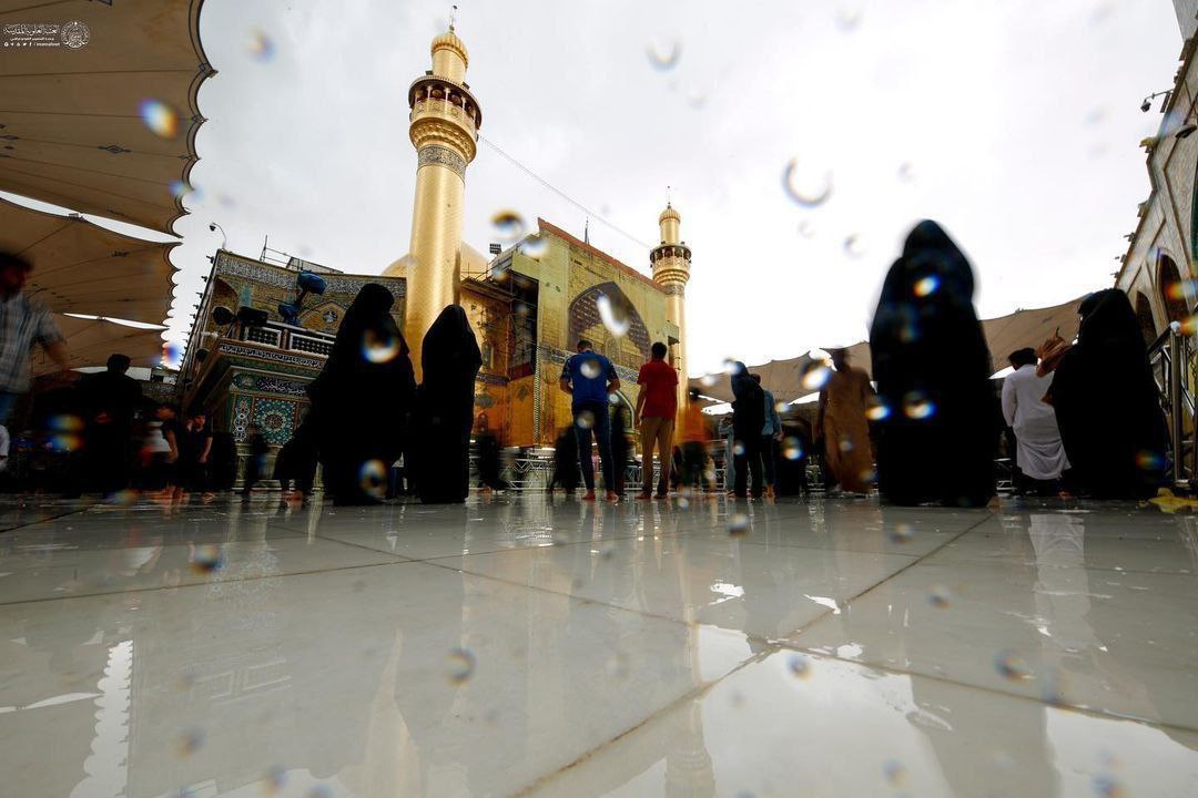 عکس/ باران بهاری در حرم امام علی (ع)