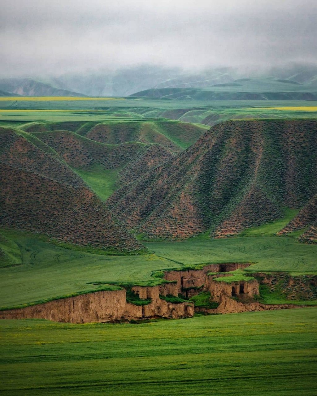 طبیعت زیبای ترکمن صحرا در گلستان