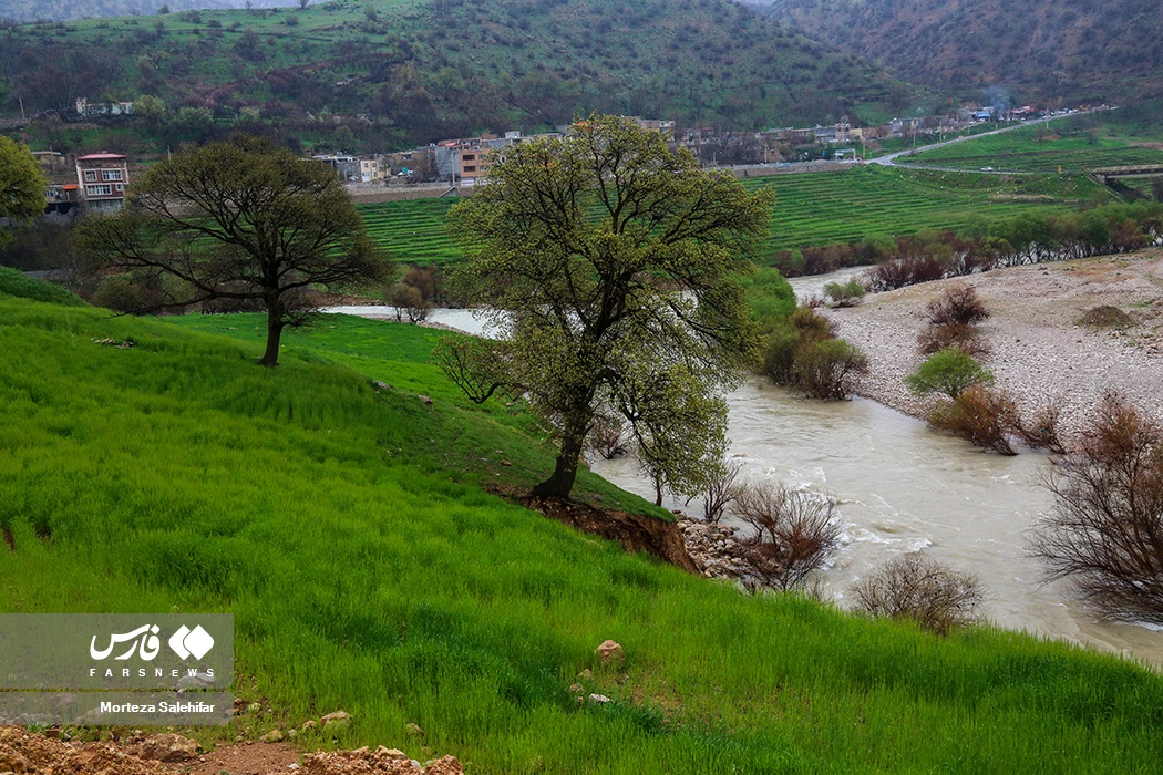عکس/ طبیعت بهاری «روستای دوپُلان»