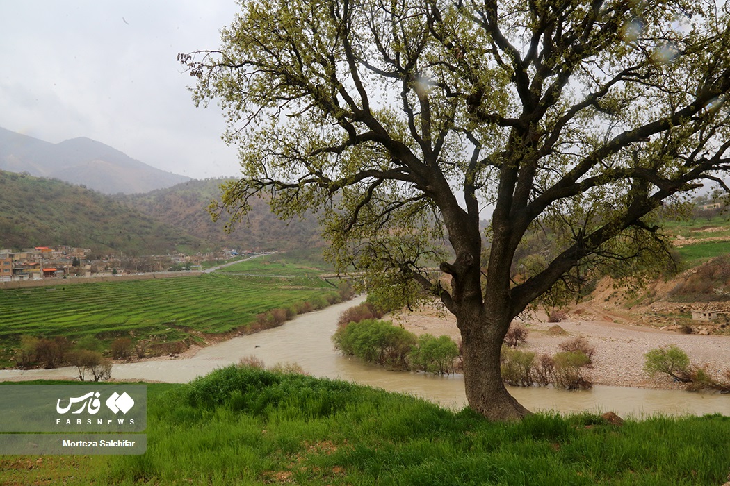 عکس/ طبیعت بهاری «روستای دوپُلان»