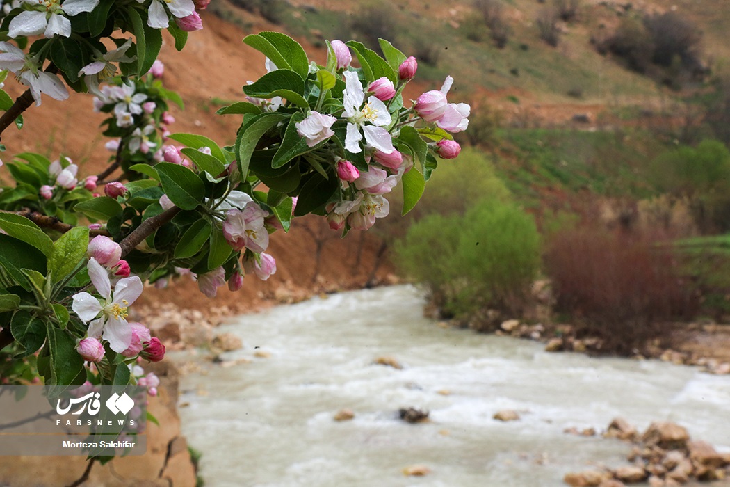 عکس/ طبیعت بهاری «روستای دوپُلان»