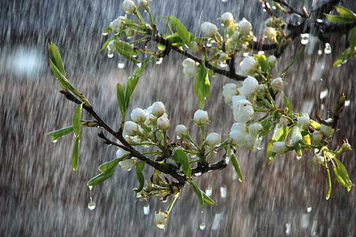 کاهش محسوس دما و بارش باران در استان اردبیل