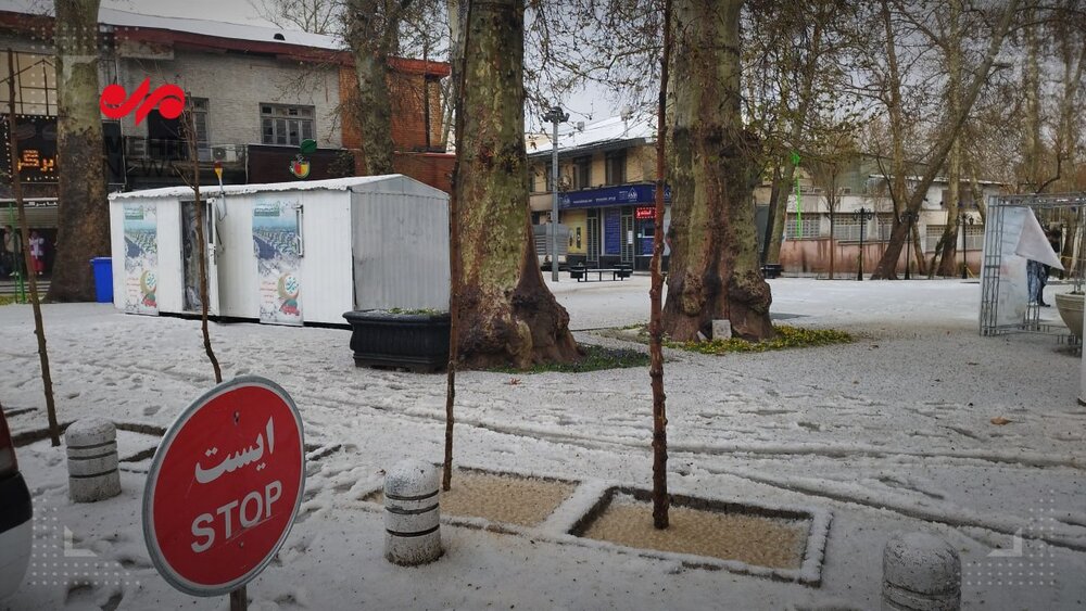 عکس/ بارش برف بهاری در شمال تهران