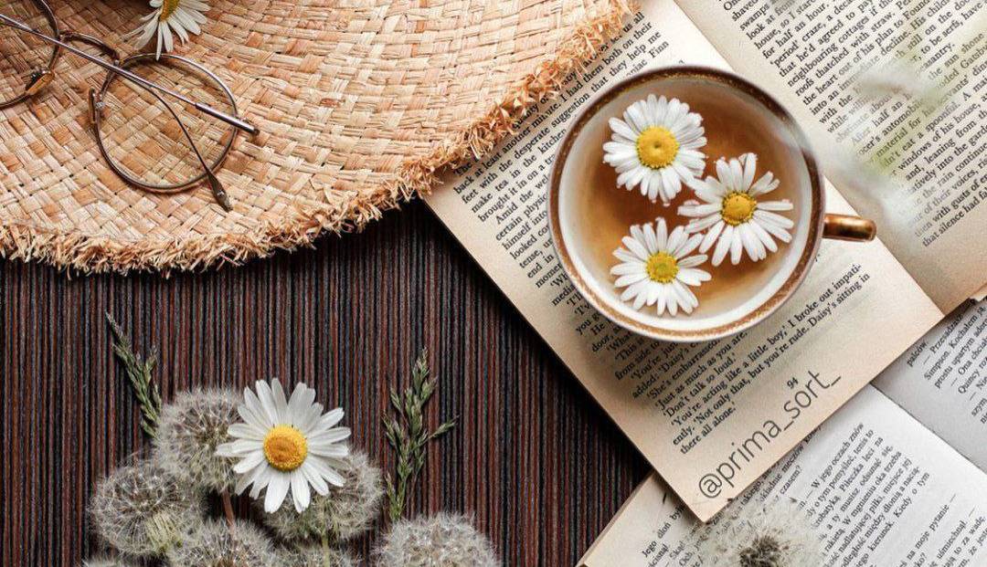 بخشی از کتاب/ ما مرگ را برای رشد کردن لازم داریم
