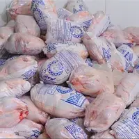 ذخیره‌سازی مناسب مرغ و گوشت منجمد در کهگیلویه و بویراحمد