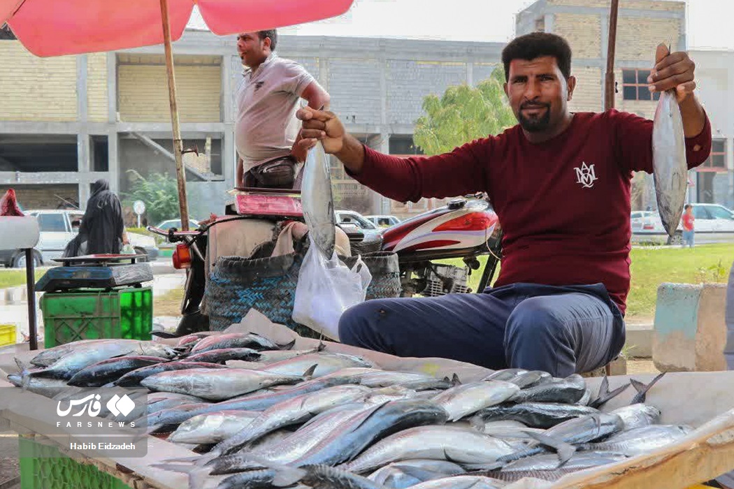 عکس/ پنجشنبه بازار «میناب»