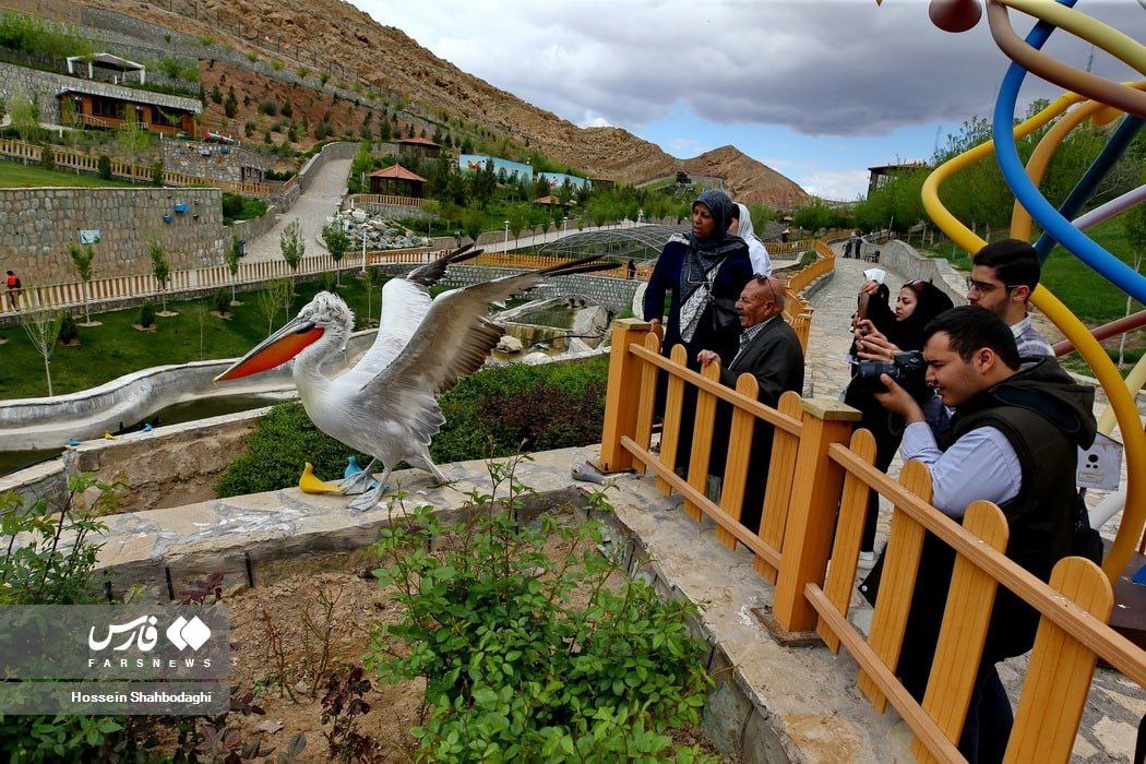 حضور مسافران نوروزی در باغ پرندگان قم 