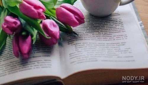 داستانک/ داستان دختر زیبای‌ چوپان و پسر پادشاه
