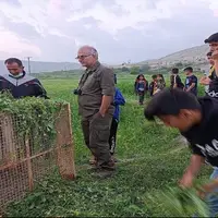 پلنگ سرگردان در روستای طلاور باغملک به خانه بازگشت