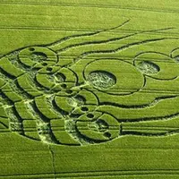 نقاشی جالب روی زمین کشاورزی