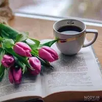 داستانک/ داستان دختر زیبای‌ چوپان و پسر پادشاه