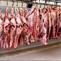 اعلام آمادگی برای تامین گوشت مورد نیاز استان‌ها در یزد