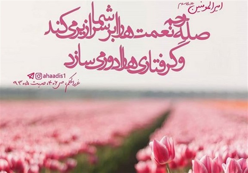 گوناگون/ ۲ عمل مهم در ماه رمضان در کلام امام سجاد (ع)