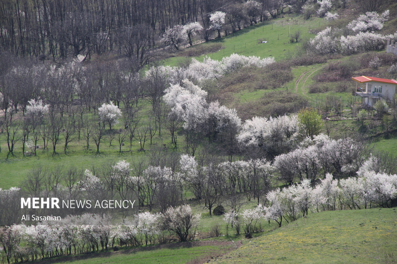 عکس/ گردنه حیران مقصد گردشگران نوروزی