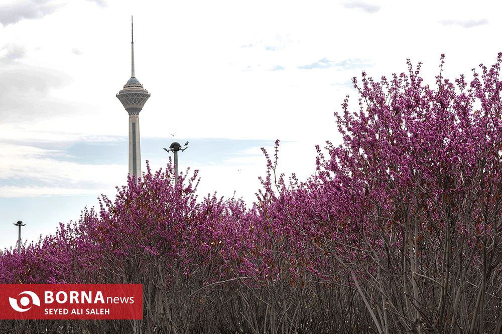 حال و هوای تهران در ۱۱ فروردین