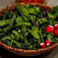  1 کیلو سبزی برای چند نفره؟ 