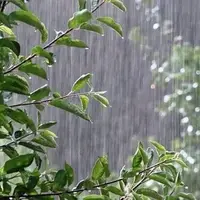 بارش‌ها در زنجان شدت می‌گیرد