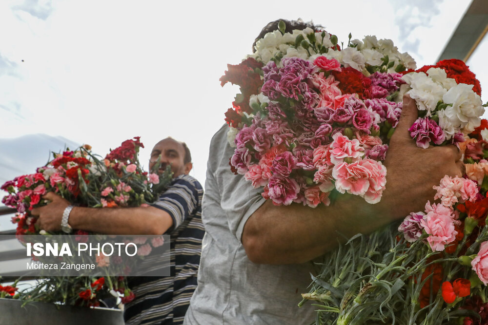 عکس/ گرامیداشت ۱۲ فروردین در برج میلاد تهران