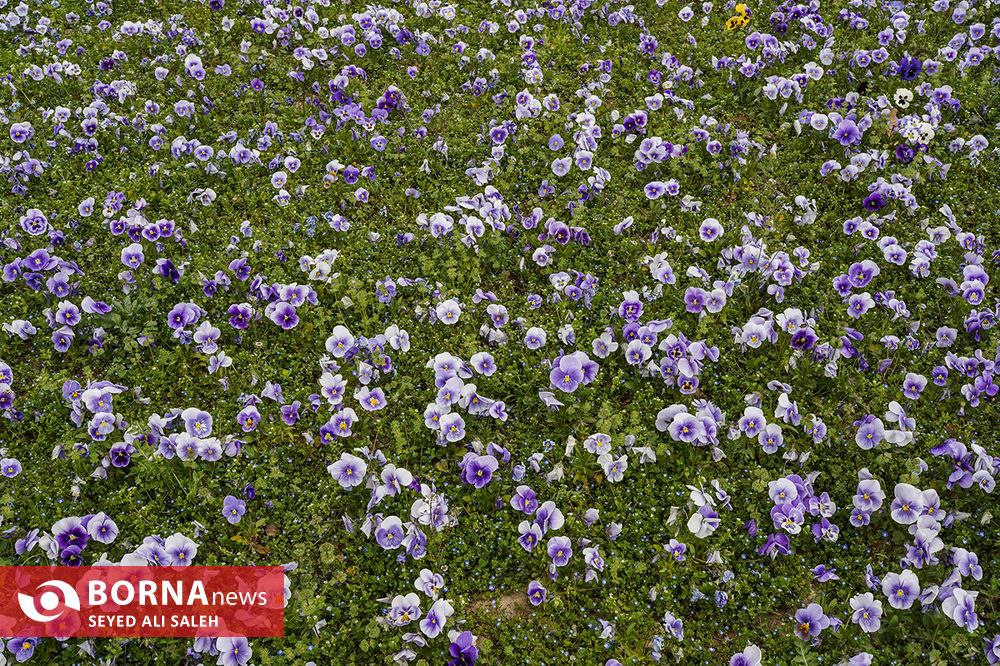حال و هوای تهران در ۱۱ فروردین