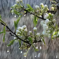 بارش‌های رگباری خراسان رضوی را فرا می‌گیرد