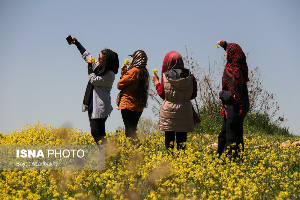 عکس/ روز طبیعت در کوهدشت