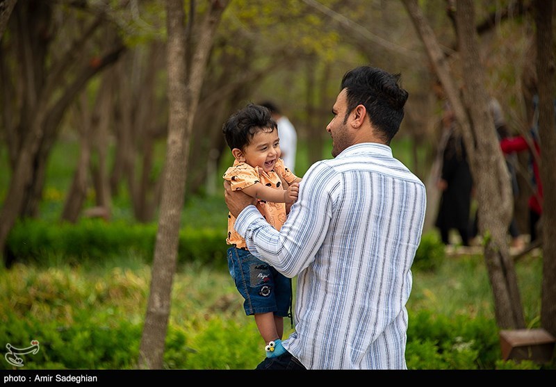 باغ گلها در شیراز