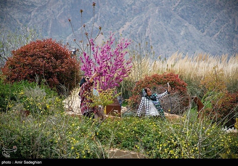 باغ گلها در شیراز